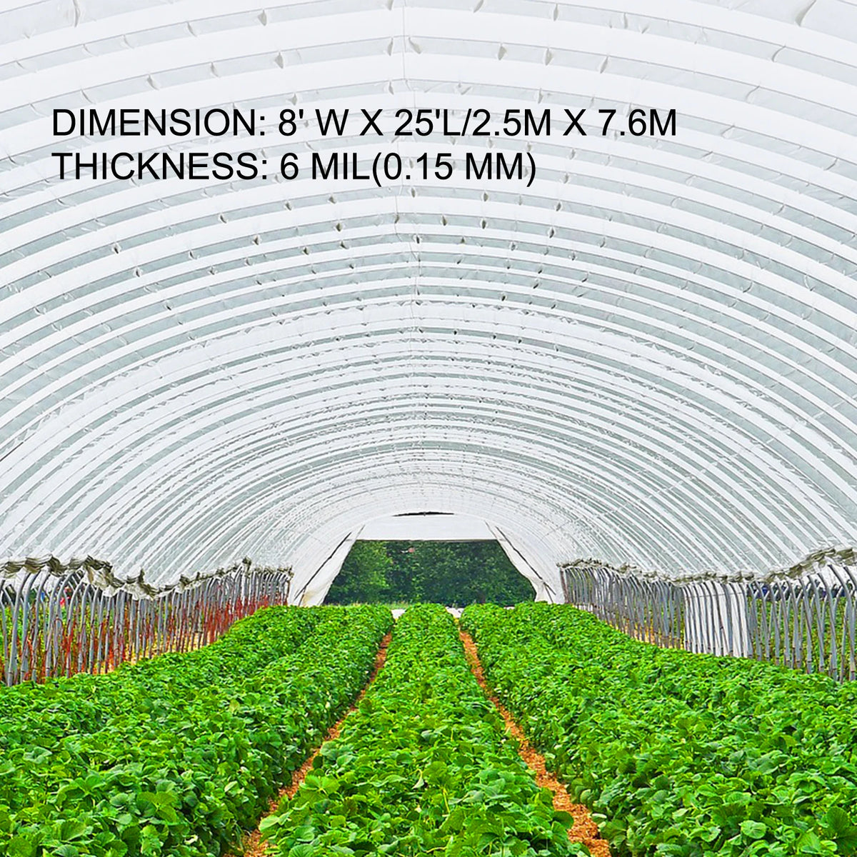 SucceBuy UV Resistant Greenhouse Film for Gardens and Crops