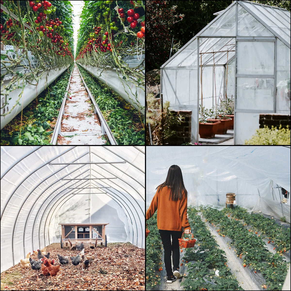 SucceBuy UV Resistant Greenhouse Film for Gardens and Crops