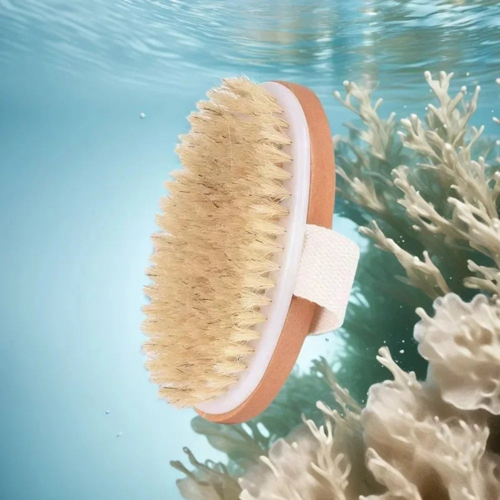 Natural Bristle Dry Body Brush For Gentle Skin Exfoliation