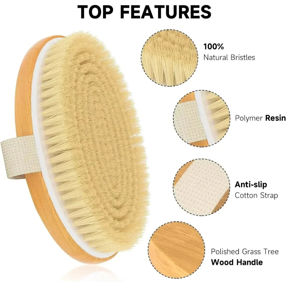 Natural Bristle Dry Body Brush For Gentle Skin Exfoliation