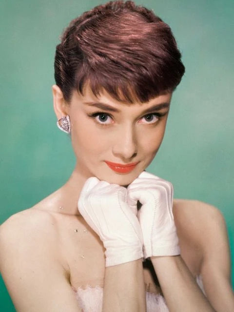 Audrey Hepburn Diamond Embroidery Painting Kit for Home Decor