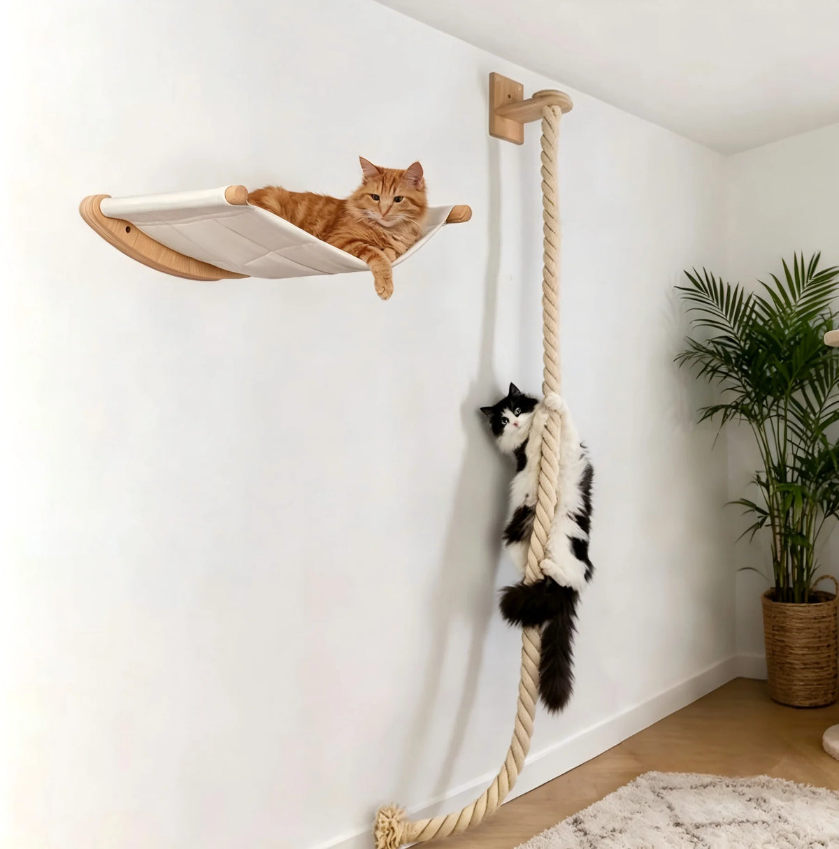 CWV Wall Mounted Cat Hammock Climbing Shelves And Perches