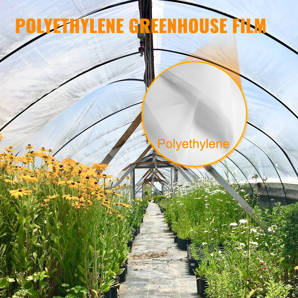 SucceBuy UV Resistant Greenhouse Film for Gardens and Crops