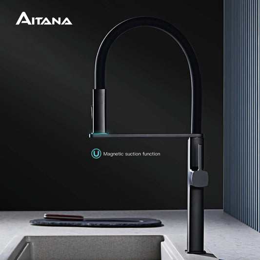 Aitana Brass Pull Out Magnetic Single Handle Kitchen Faucet