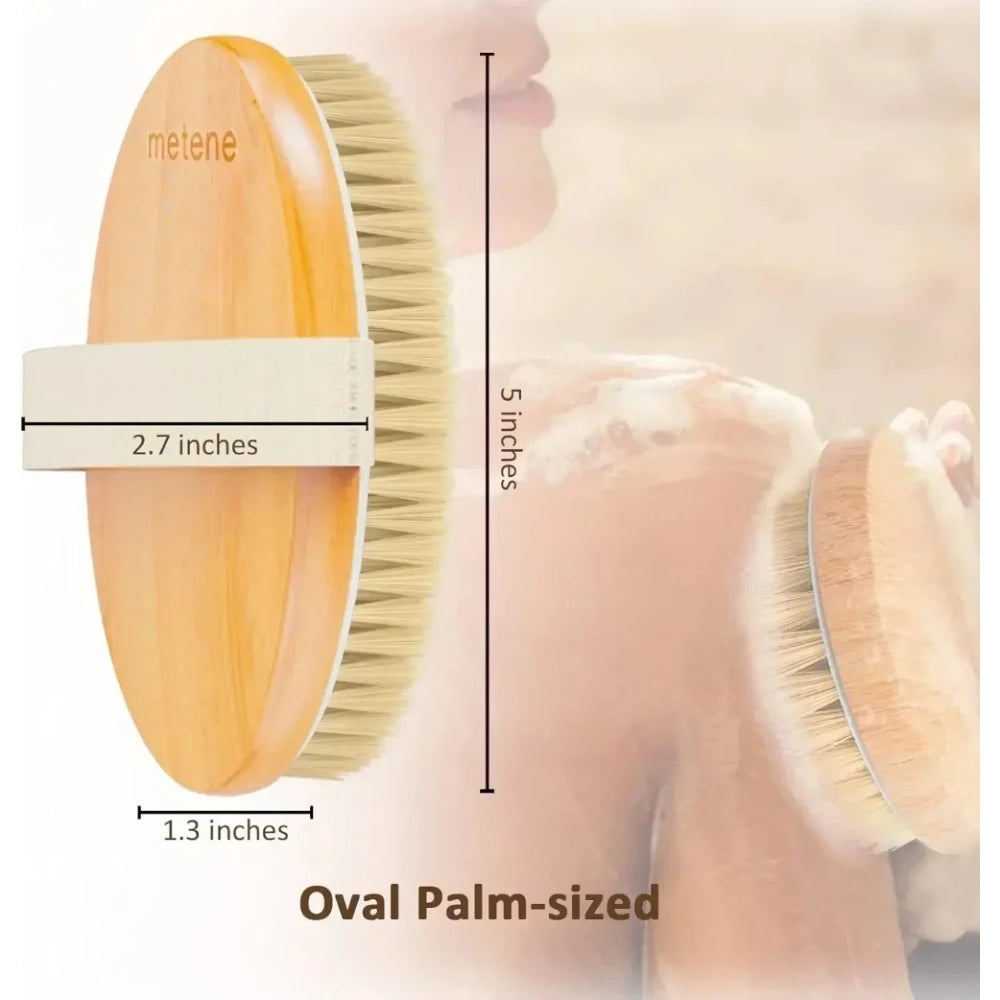 Natural Bristle Dry Body Brush For Gentle Skin Exfoliation