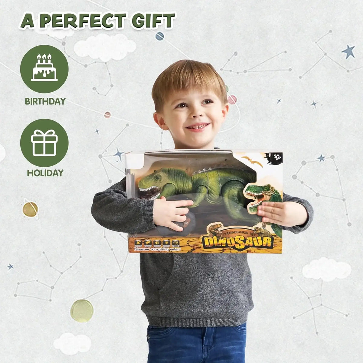 Joyfy Remote Control Walking Dinosaur Toy With Lights And Sounds